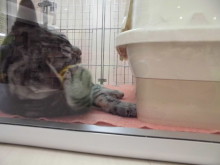 お気に入り(๑≧౪≦)