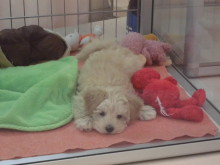 元気いっぱい(((o(*ﾟ▽ﾟ*)o)))