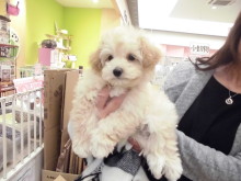 家族が決まりました(*^_^*)