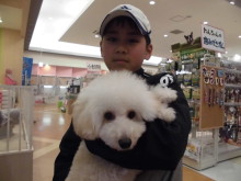 家族が決まりました(((o(*ﾟ▽ﾟ*)o)))