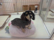 いろんな寝方(-_-)゜zzz…