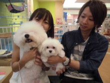 家族が決まりましたo(^▽^)o