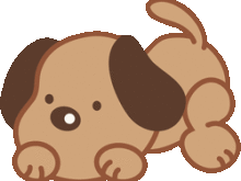 ポチたま子犬紹介Part2☆