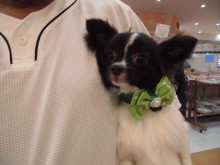 家族が決まりました(*´∀｀*)