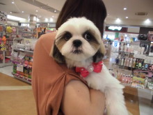 家族が決まりました(*^ω^*)