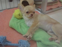 のんびり(*´∀｀*)