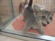 三連休二日目(*ﾟ∀ﾟ*)