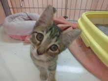 三連休最終日(*´∀｀)