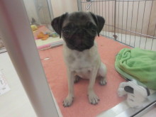 ３連休2日目！！