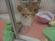 チー君の楽しい時間♬