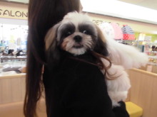 家族が決まりました(*≧∀≦*)