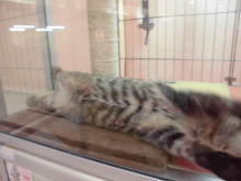 スコさん・マンさん(^O^)