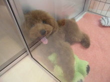 プー君♪(^O^)♪