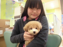 家族が決まりました(*ﾟ▽ﾟ*)