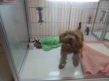 土曜日( ´ ▽ ` )