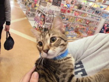 家族が決まりました(*ﾟ∀ﾟ*)