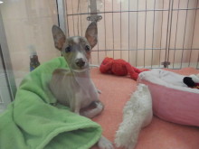 元気いっぱい(*^◯^*)