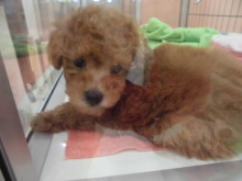 まったり～(´∀｀*)