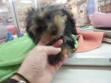 元気いっぱいＯ(≧▽≦)Ｏ