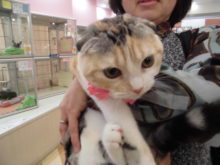 家族が決まりました(*≧∀≦*)