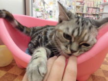 アメちゃん！第二弾(*≧∀≦*)