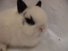 仲間入り(((o(*ﾟ▽ﾟ*)o)))