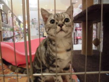 なでなで第１弾(^O^)