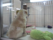 そわそわ(´・ω・｀)