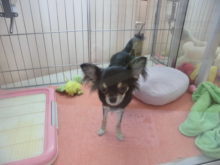 焦らないで(^_^;)