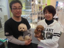 家族が決まりました(ﾟ∀ﾟ)