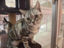 にゃん♡にゃん♡