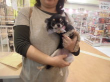 家族が決まりました(^○^)