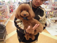 家族が決まりました！！！