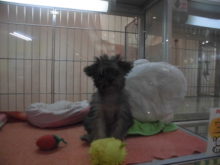 ４月スタート(ﾟ∀ﾟ)