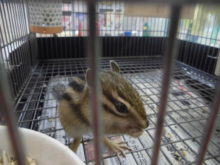 新しいメンバー(*^_^*)