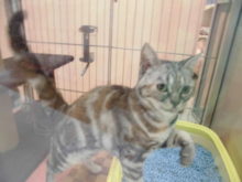 ポチたま( ﾟ∀ ﾟ)