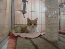 スコくんとプーちゃん(^ω^)