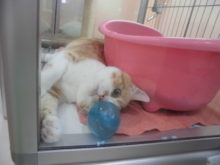 お隣さん(´∀｀)