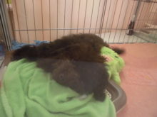 気になる(・∀・)