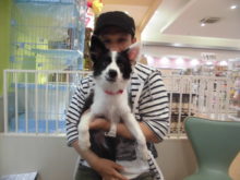 家族が決まりました(^-^)