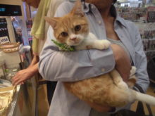 家族が決まりました(^ω^)