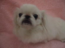 新メンバー(*´∀｀)