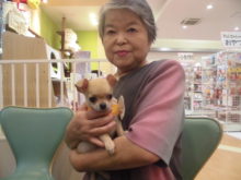 家族が決まりました(((o(*ﾟ▽ﾟ*)o)))