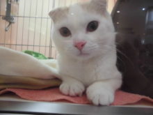 遊びに来てね(^O^)