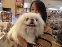 家族が決まりましたヽ(´▽｀)/