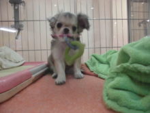 ミックス君(ﾟ∀ﾟ)