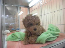 びっくり(°д°)