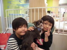 家族が決まりました(´∀｀)