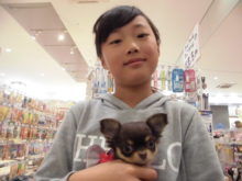 家族が決まりました(*ﾟ∀ﾟ*)