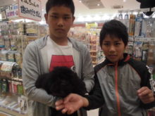 家族が決まりました(^O^)